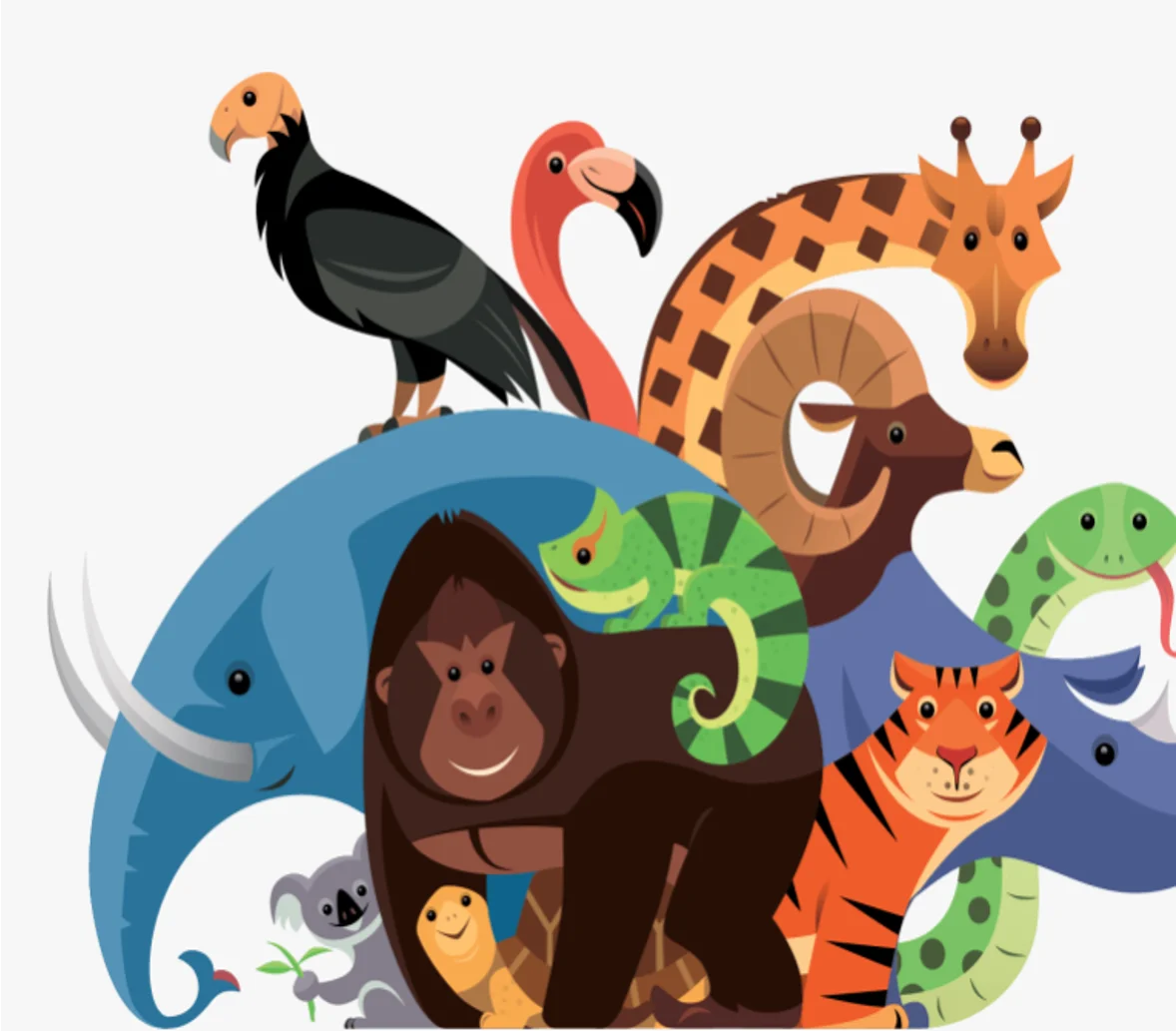 geniuslabs stem game card for can you guess animal